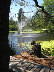 Vandusen Garden. Image by Heather Button - Copyright © http://atomic-temporary-30814180.wpcomstaging.com